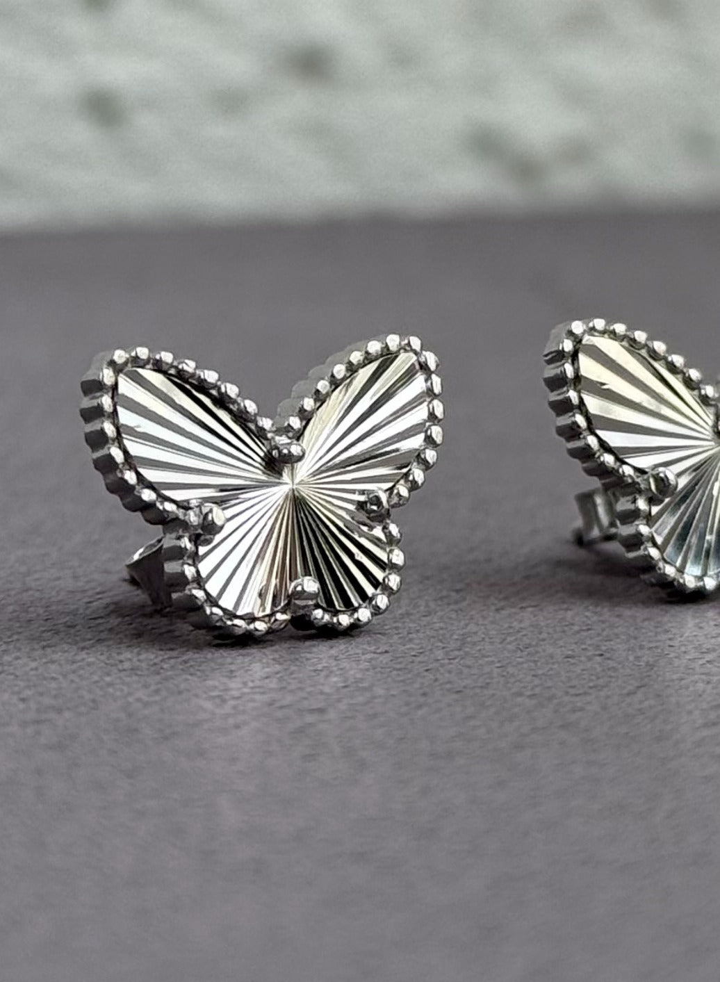 Striped Butterfly Stud Earrings with frame - Elegant Design - Sterling Silver 925 - Plated Rhodium White Gold 18K